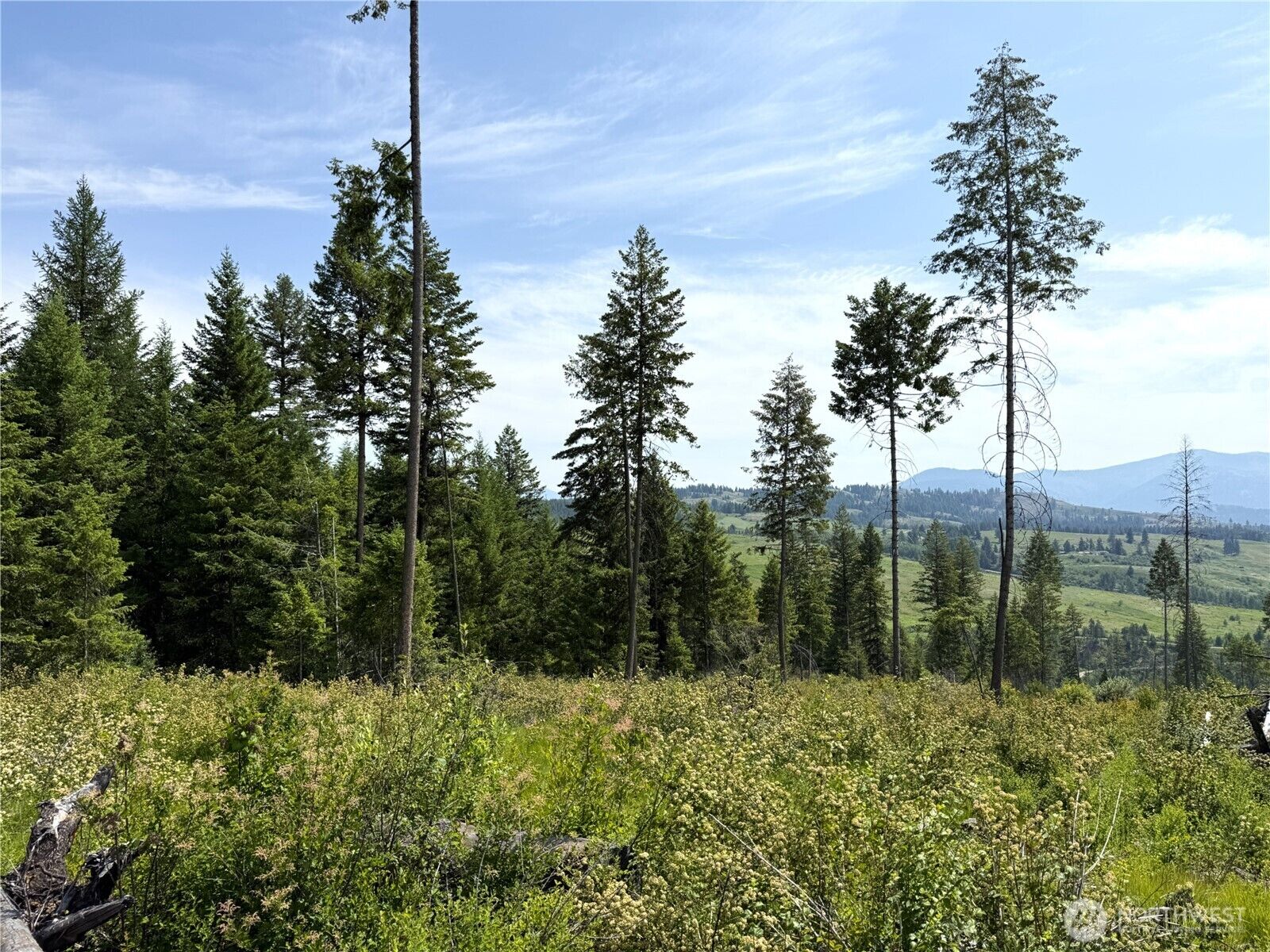 Property Photo:  0  Rockabye Lane  WA 99118 