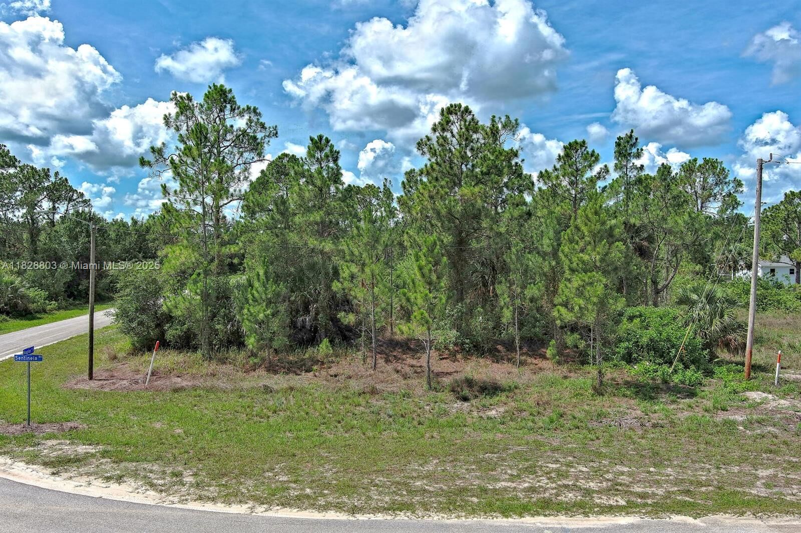 Property Photo: 1246 Sentinela Blvd FL 33974