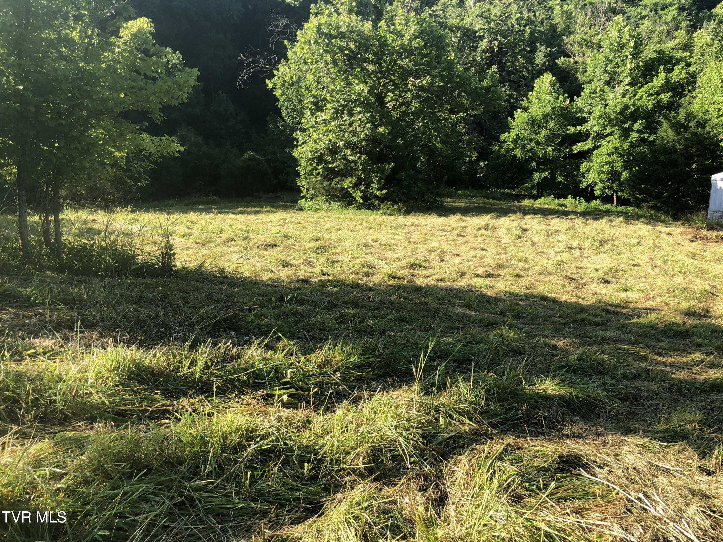 Property Photo: Tbd Gottland Shoals Road TN 37617
