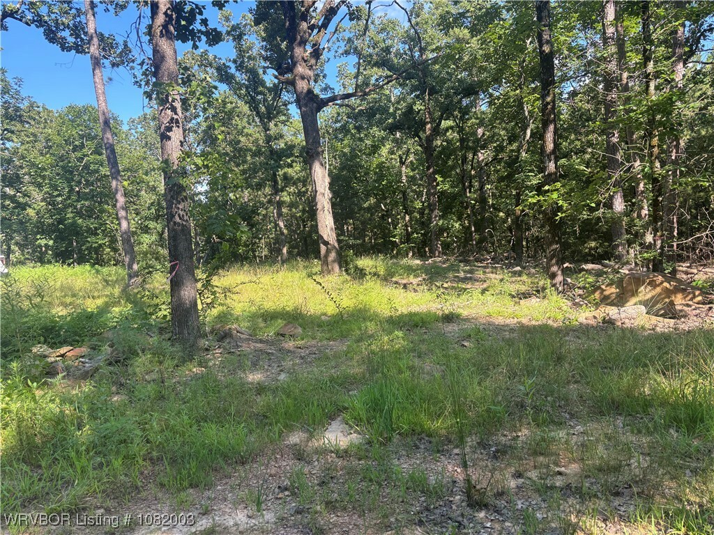 Property Photo:  Tbd NE 1145th  OK 74563 