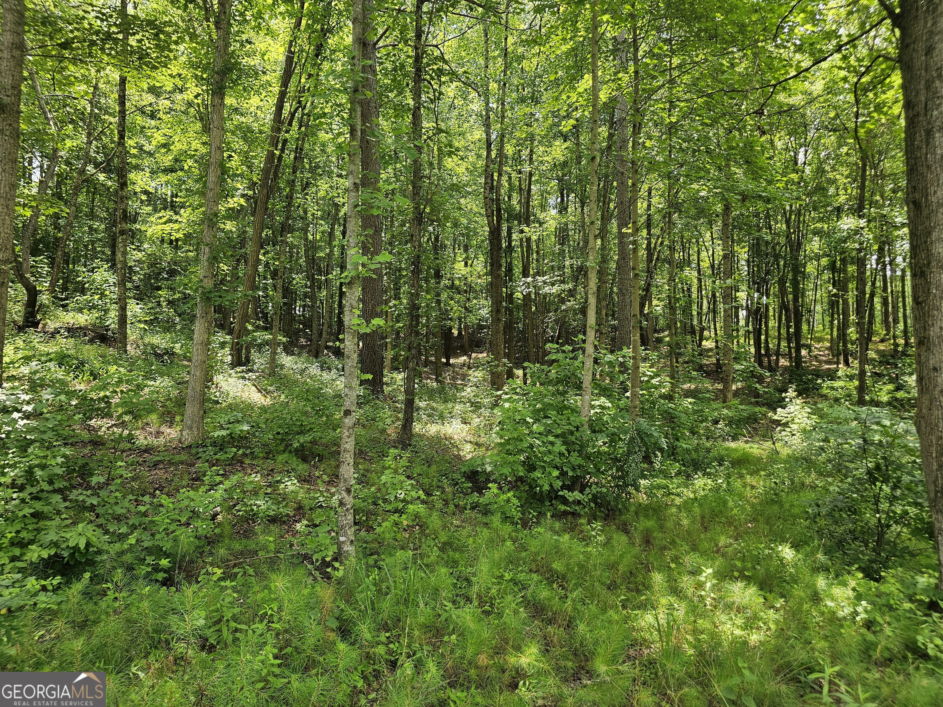 Property Photo: 0 Twisted Oak Road GA 30175