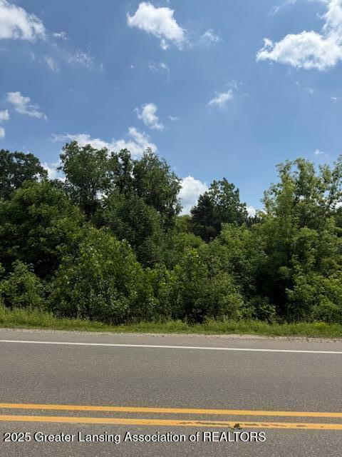 Property Photo: 0 Eager Road MI 48855