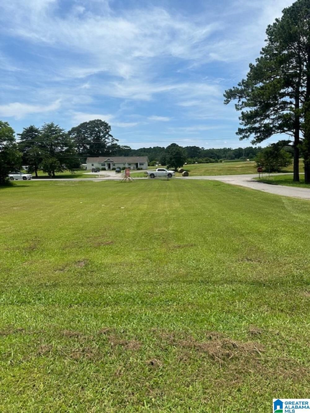Property Photo:  0 County Road 437 0  AL 35057 