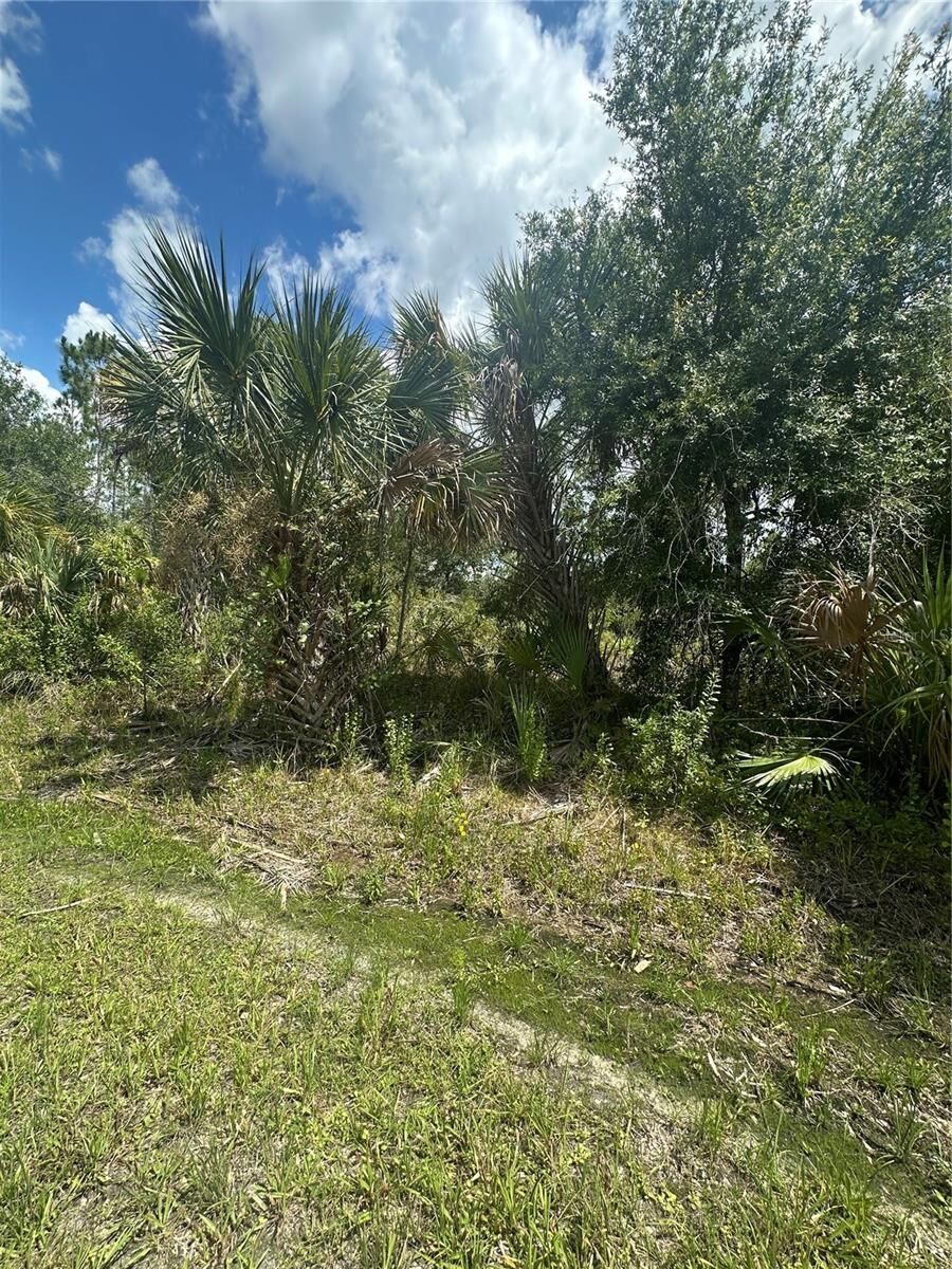 Property Photo:  Rentscher Avenue  FL 34291 