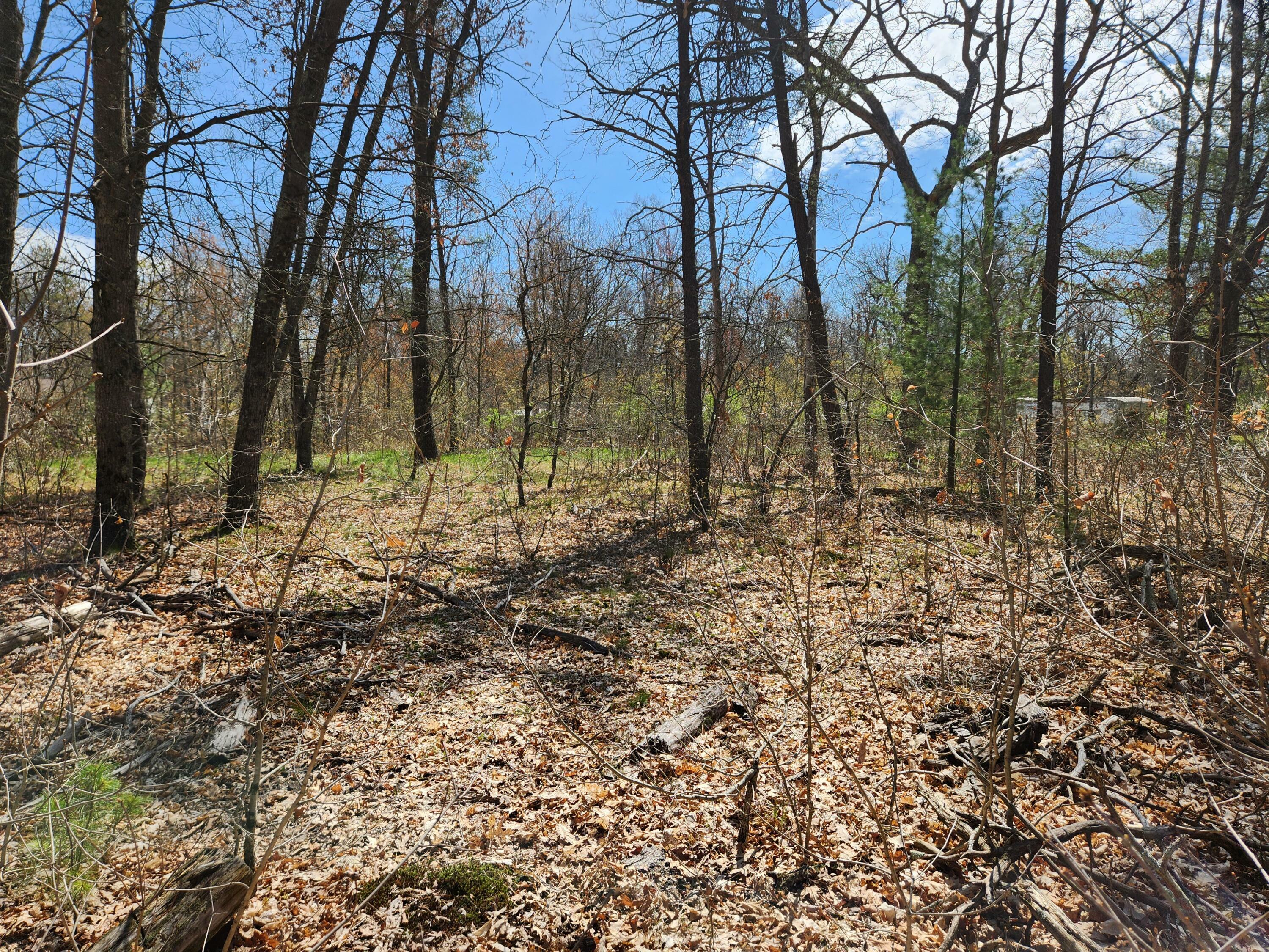 Property Photo: Tbd S Princeton Way Avenue MI 49304