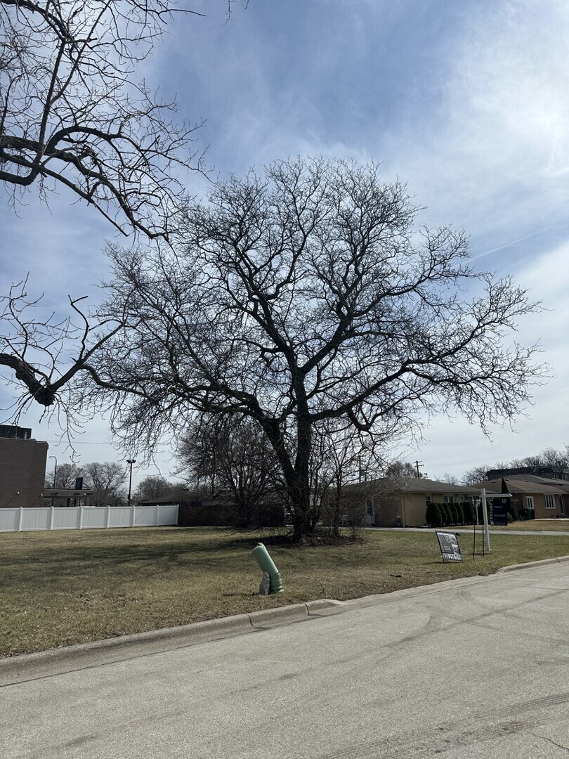 Property Photo: 8003 S Oconto Avenue IL 60455
