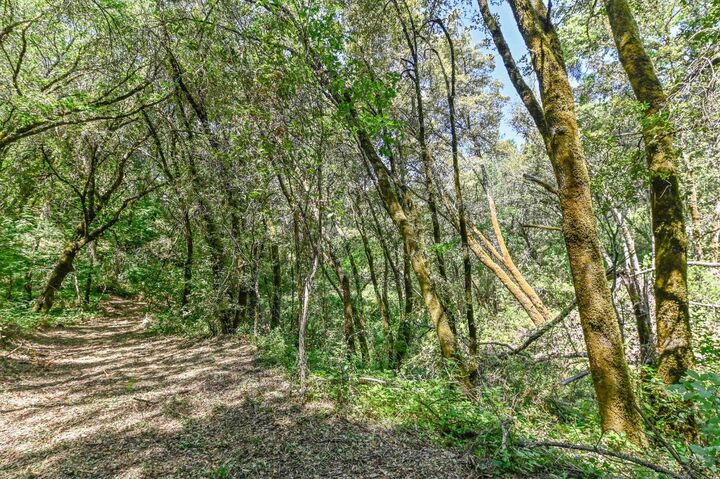 Property Photo:  13671 Ridge Court  CA 95685 