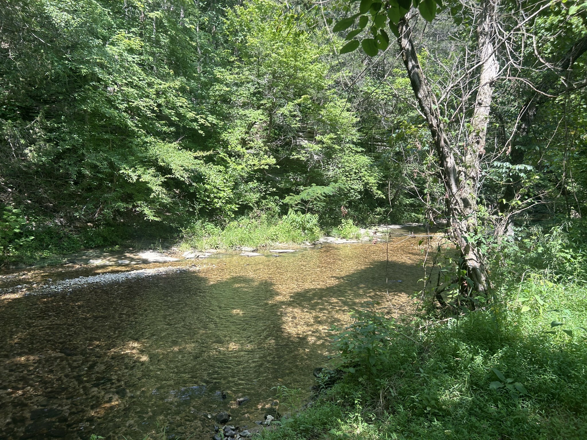 Property Photo: 1775 Old Beech Creek Rd TN 38485