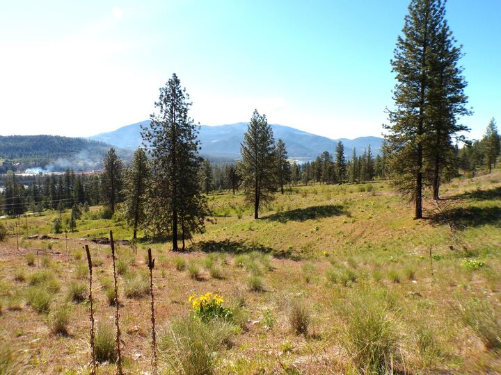 Xx Ballard Ave  Kettle Falls WA 99141 photo