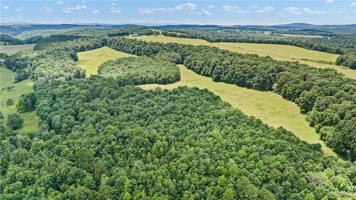 Ar 254 Highway  Leslie AR 72645 photo