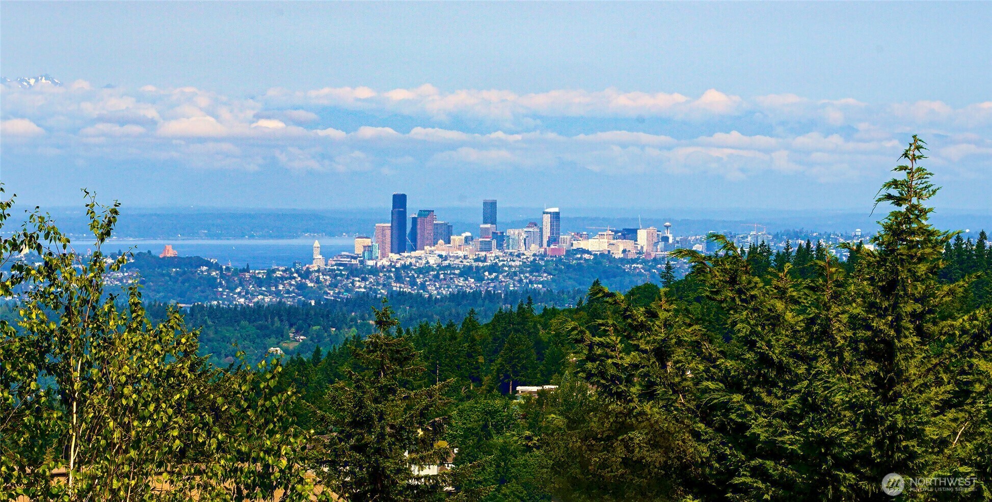 Property Photo:  6560  169th Place SE  WA 98006 