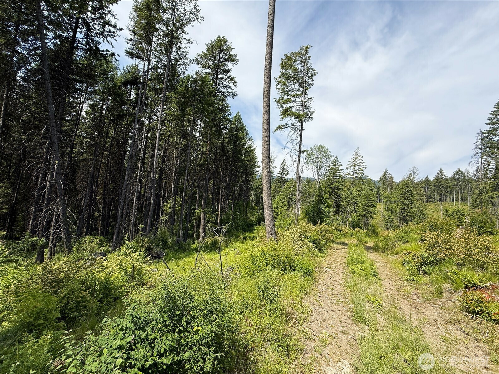 Property Photo:  0 Lot 2  Rockabye Lane  WA 99118 