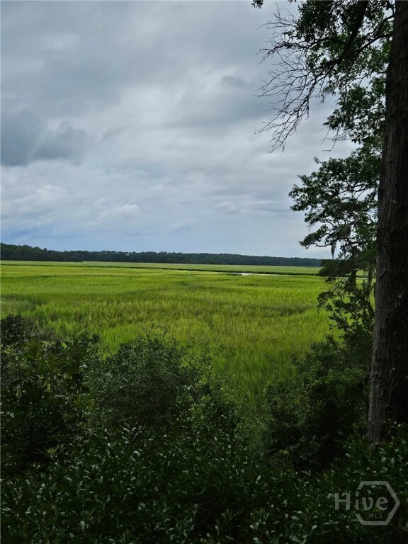 Property Photo: Lot 27 St Catherine Circle GA 31324