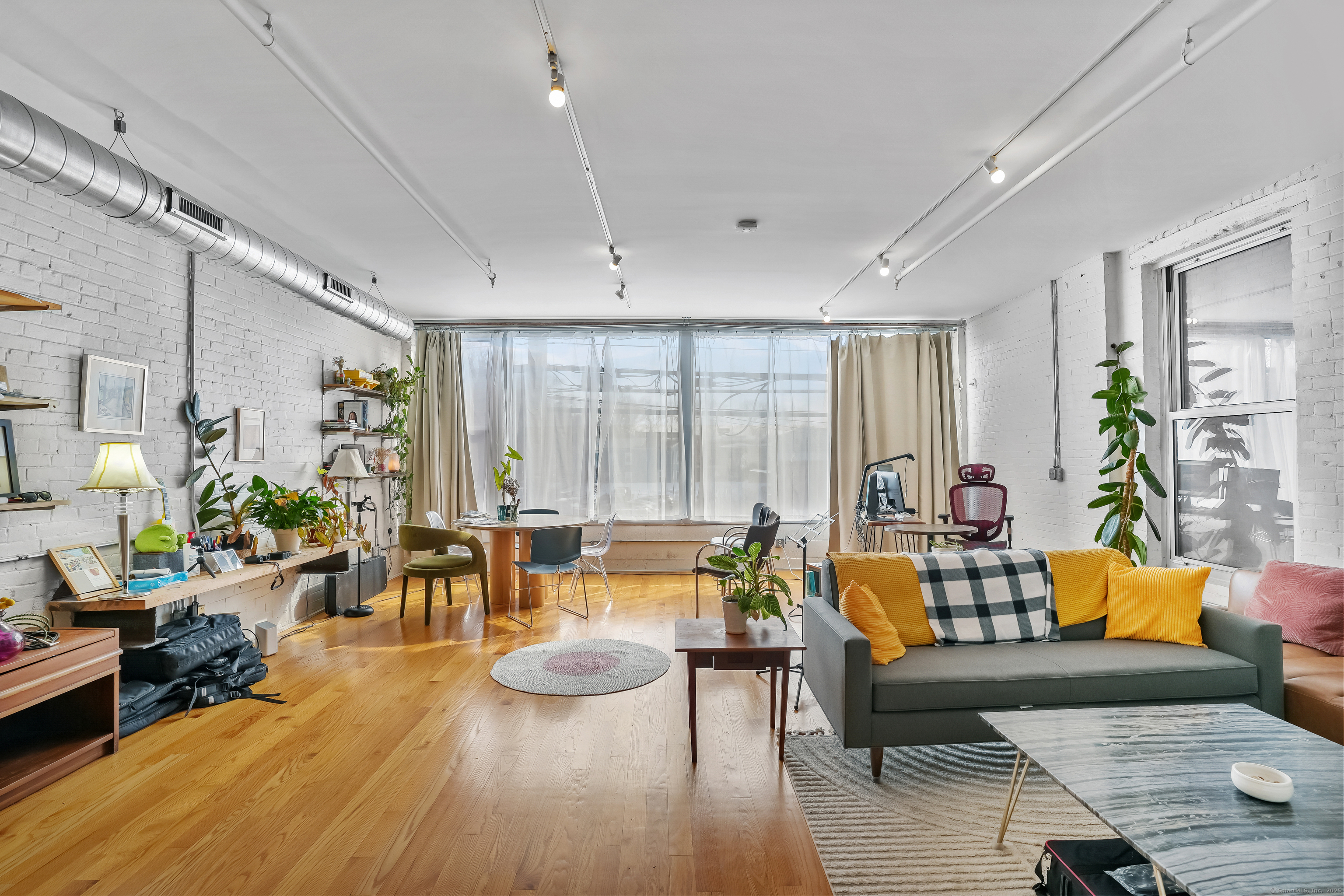 Property Photo:  817 Grand Avenue 202  CT 06511 