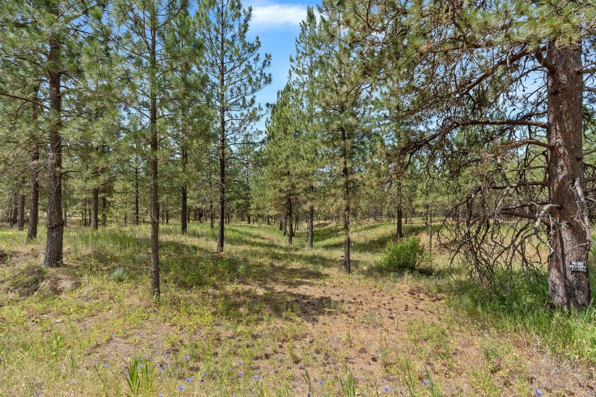 Property Photo: 5285 Hwy 231, #D Hwy WA 99013