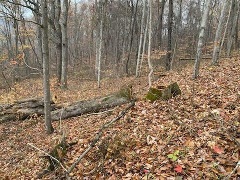 Property Photo: 571 Co. Rd. 52 OH 45638
