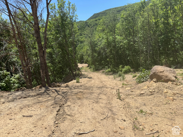 29 L Birch Creek Dr L-29  Fairview UT 84629 photo