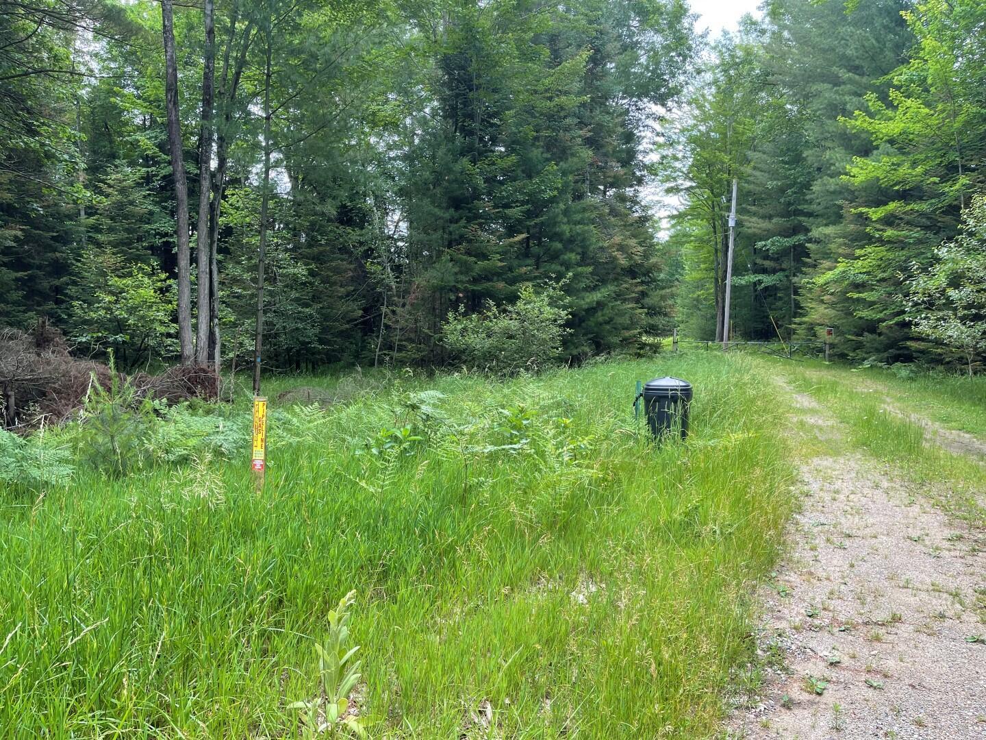 Property Photo: Lot 175 Nestle Road MI 48651