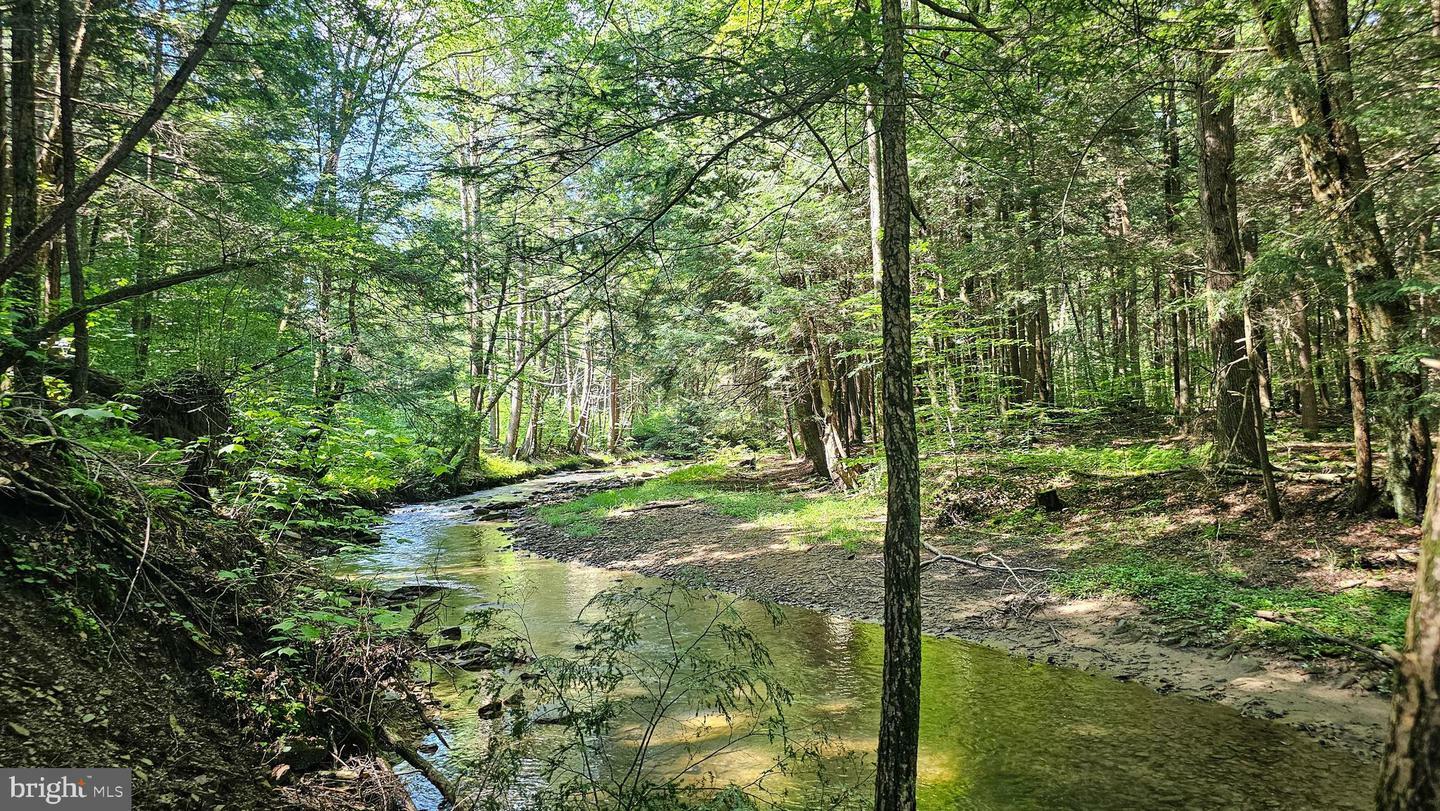 Property Photo: 327.9 Acres Mahaffey Grampian Highway PA 15757