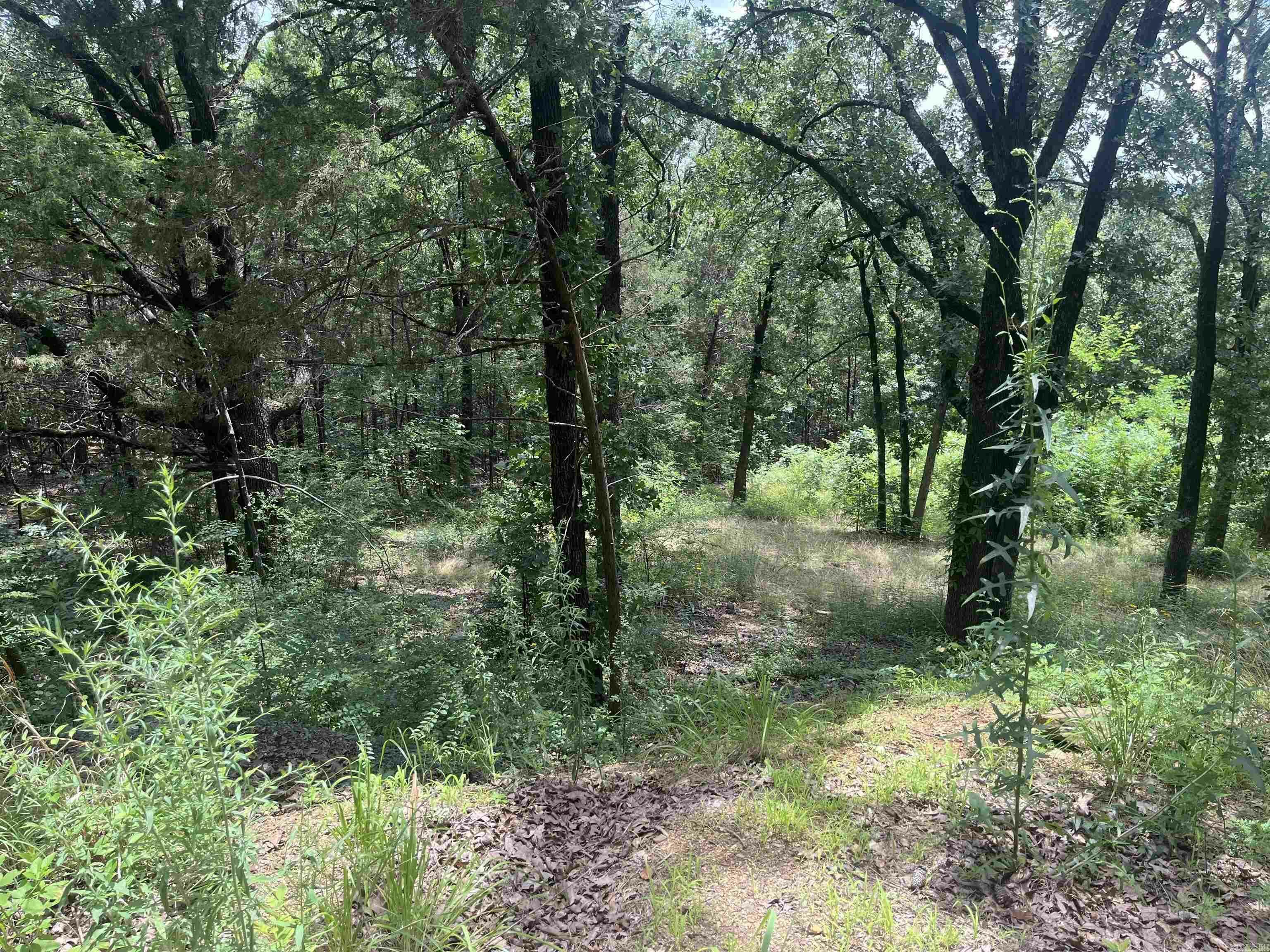 Property Photo: