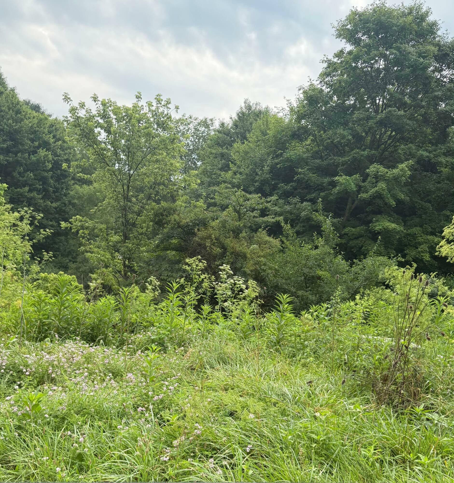 Property Photo: 2100 Apple Valley Drive OH 43028