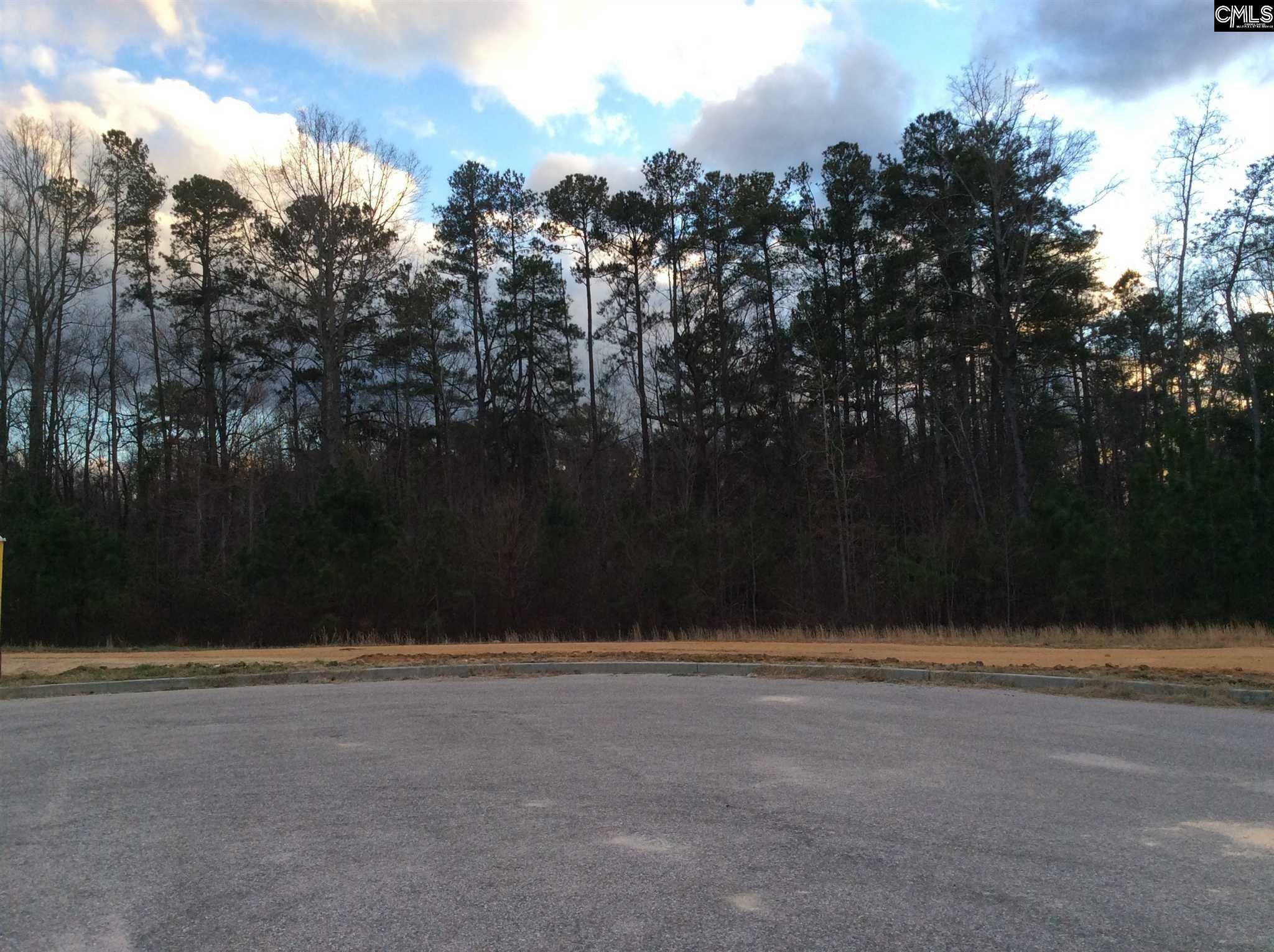 Property Photo:  144 Brookside  SC 29072 