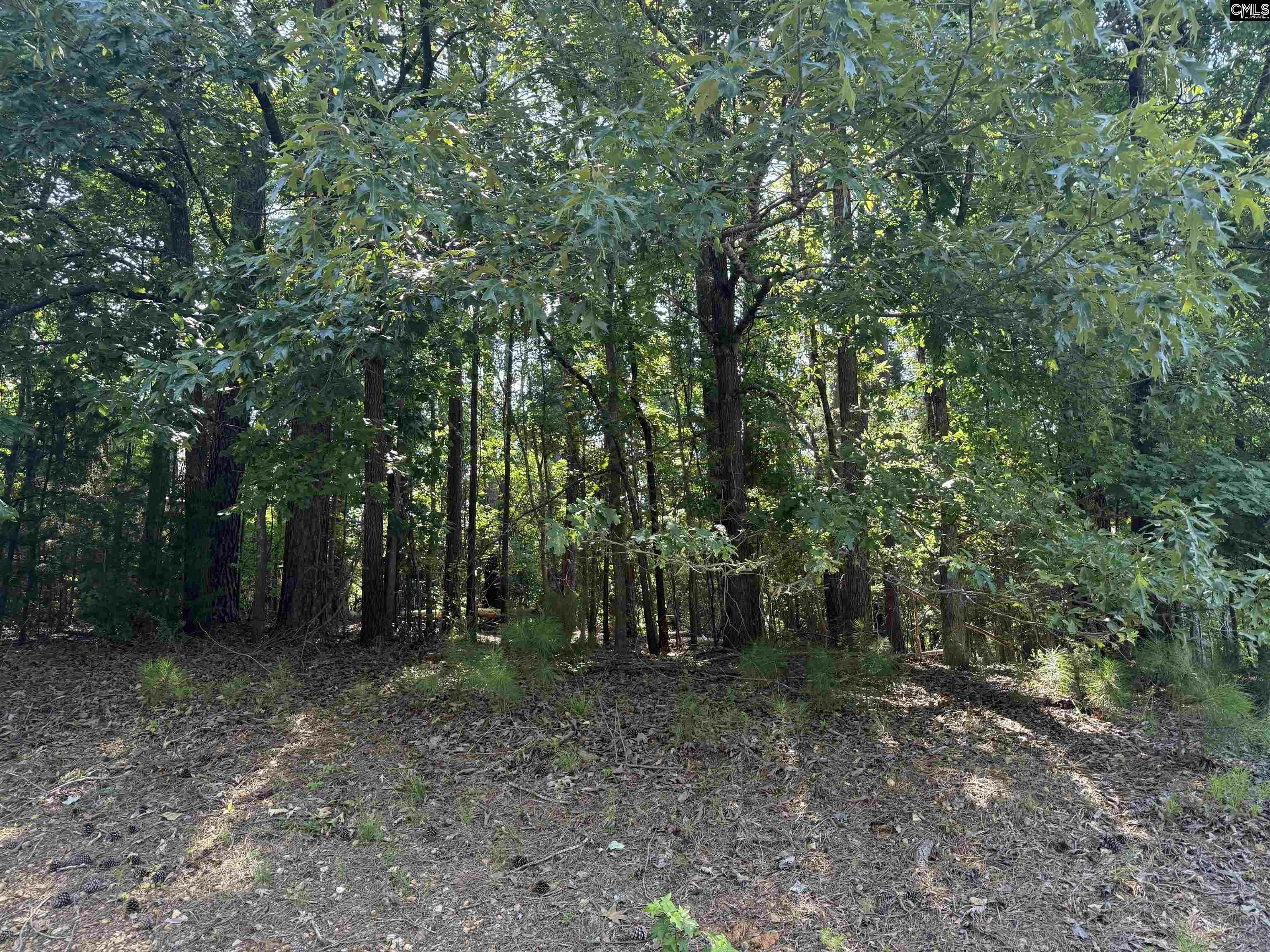 Property Photo: 108 Oak Trace Ct SC 29036