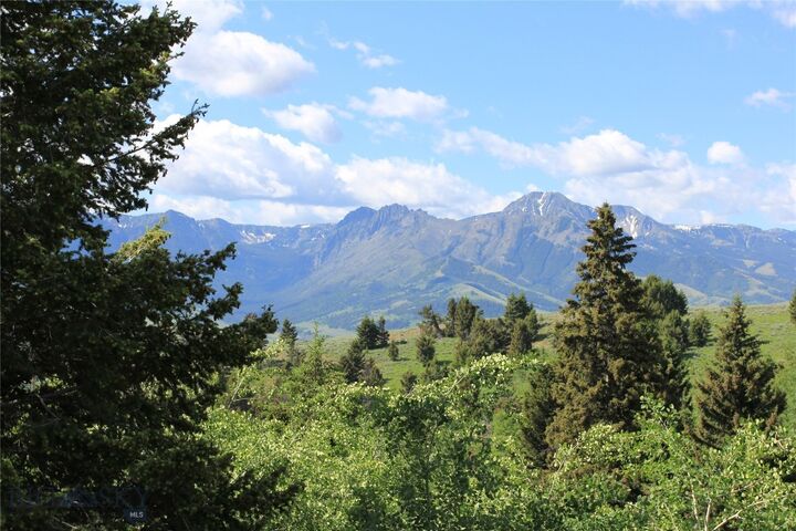 Property Photo: 524 Grizzly Meadow Road MT 59027