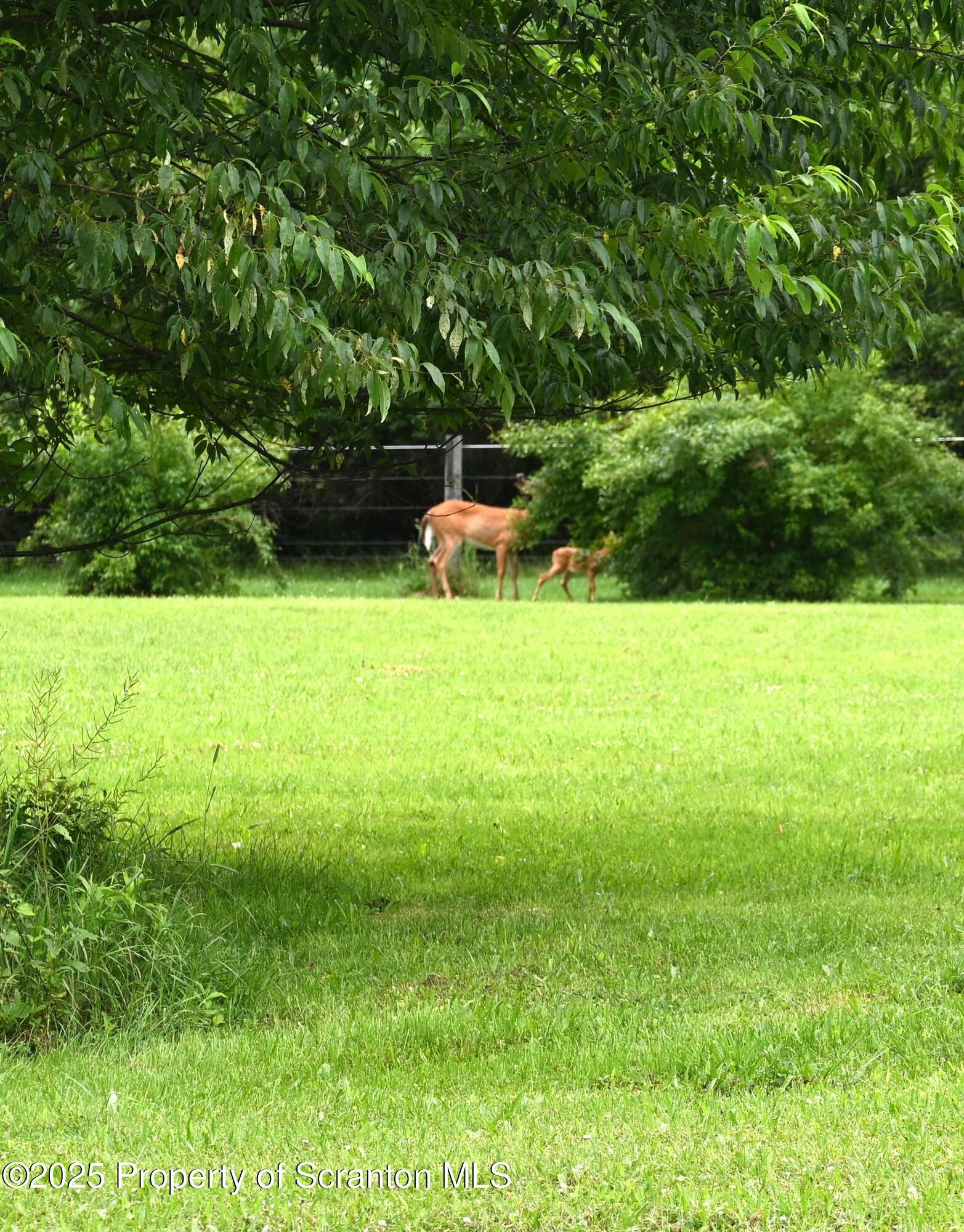 Property Photo:  2246 Harmony Road  PA 18847 