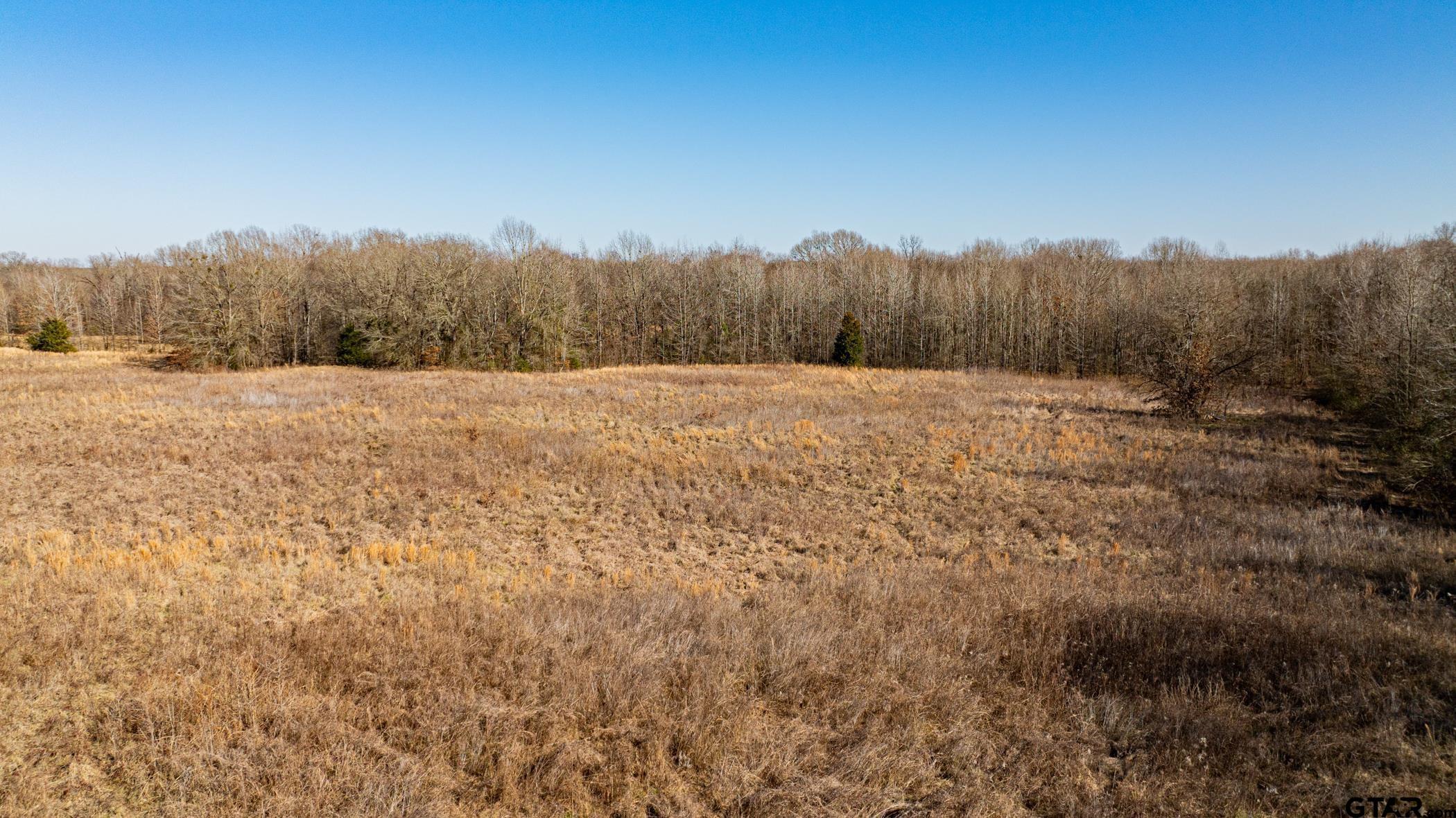Property Photo: Tbd Cr 4650 TX 75559