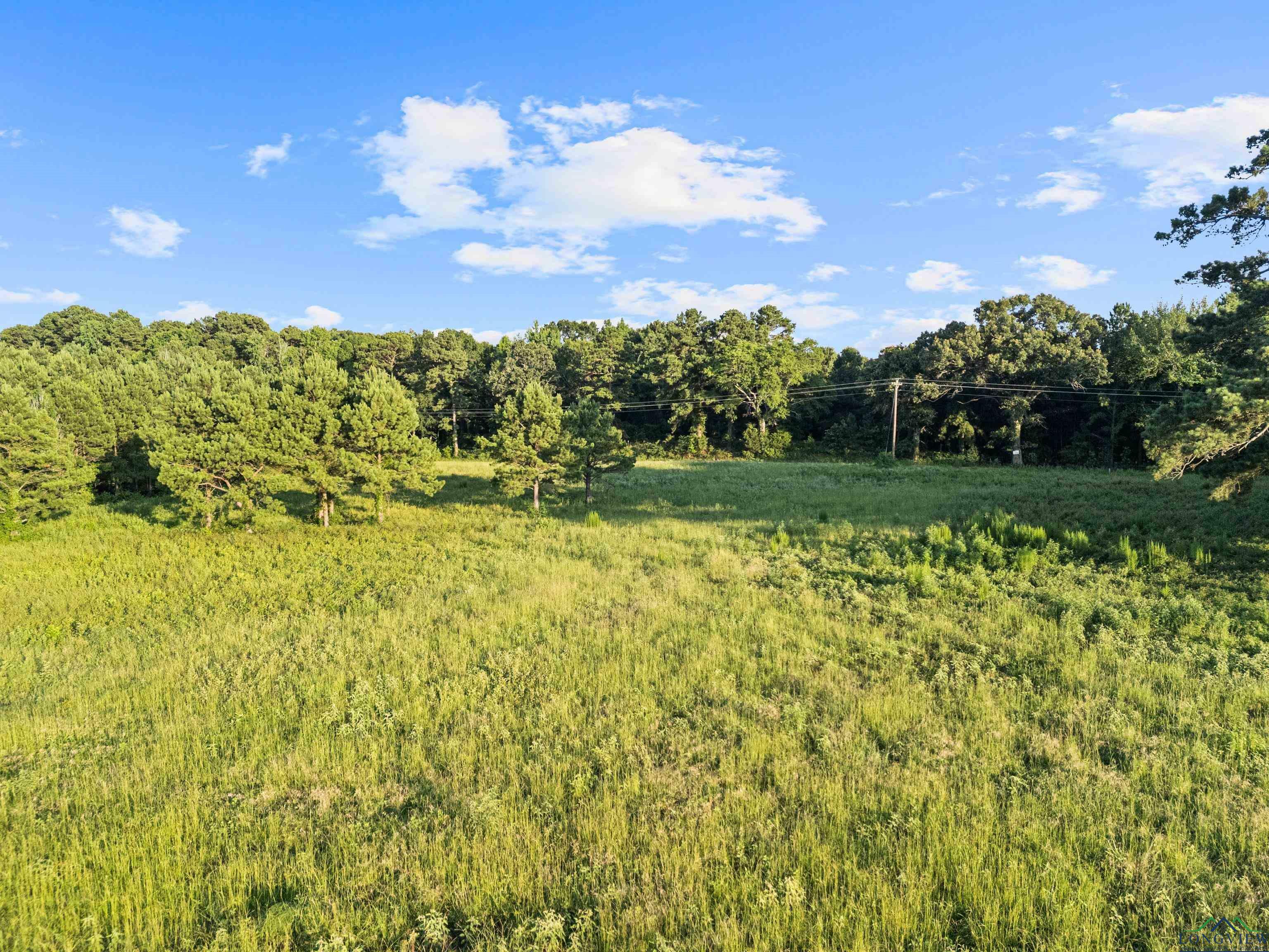 Property Photo:  Tbd Peter Bonner (Tract1)  TX 75650 