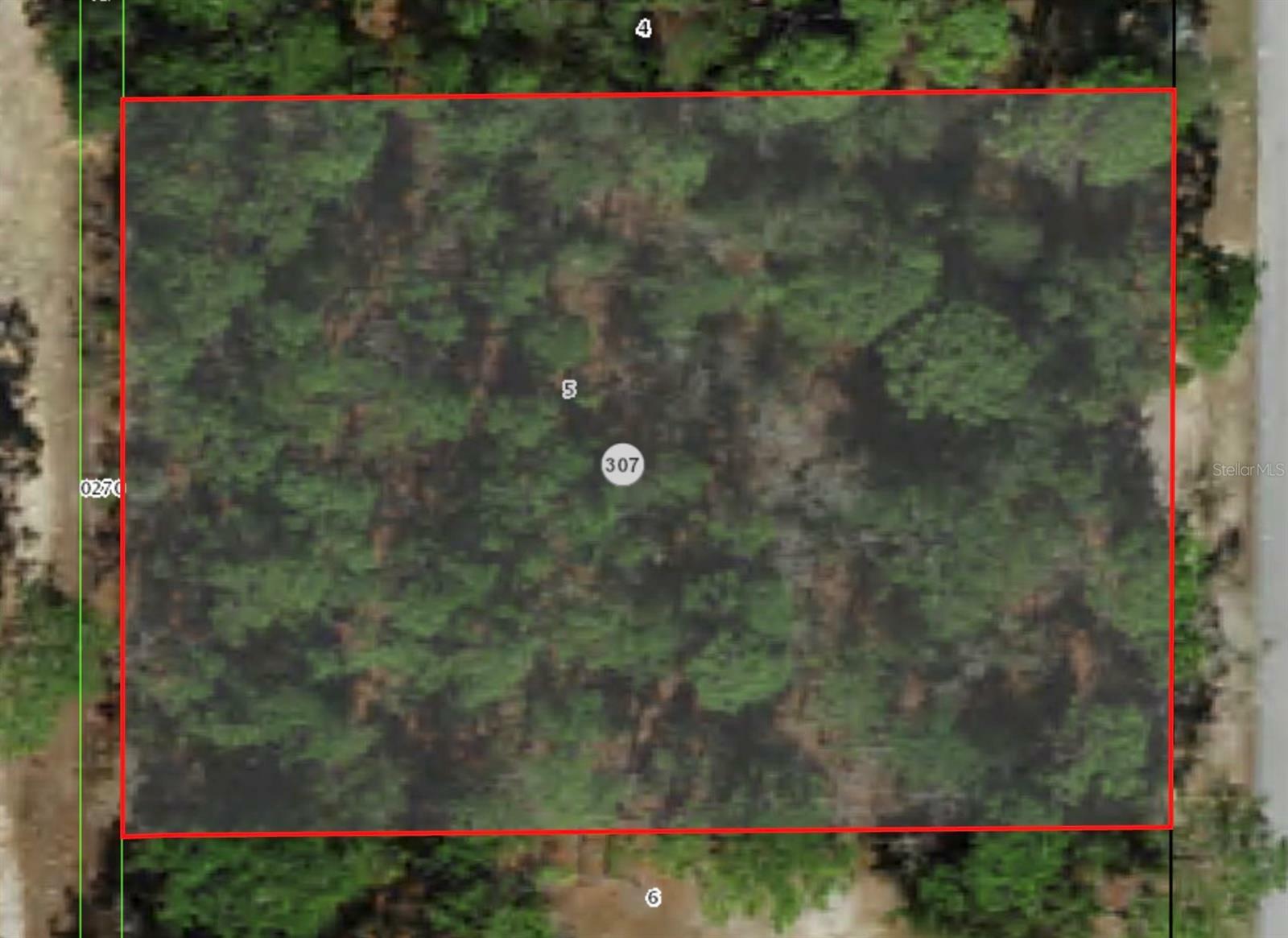 Property Photo: 3916 N Buckwheat Point FL 34465