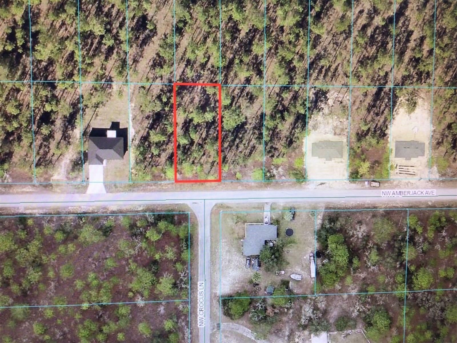 Property Photo:  0 NW Amberjack Avenue  FL 34431 