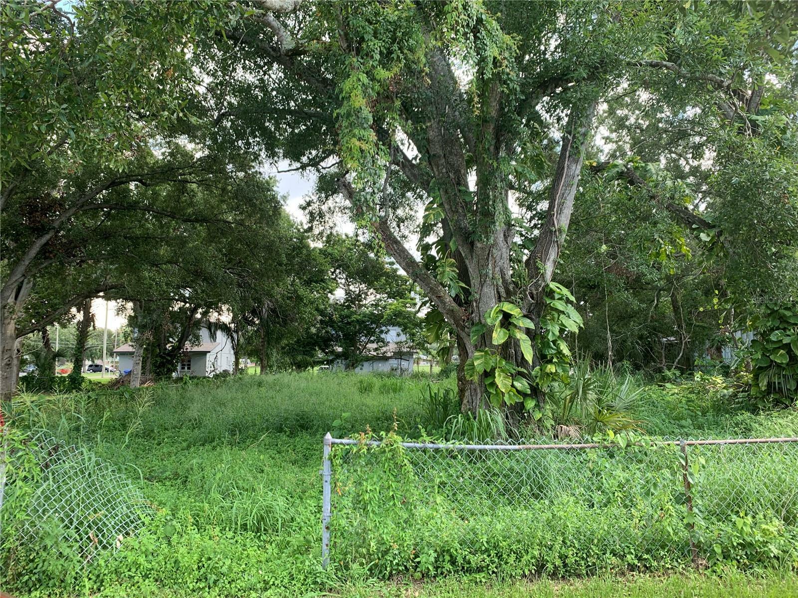 6517 E 24th Avenue  Tampa FL 33619 photo