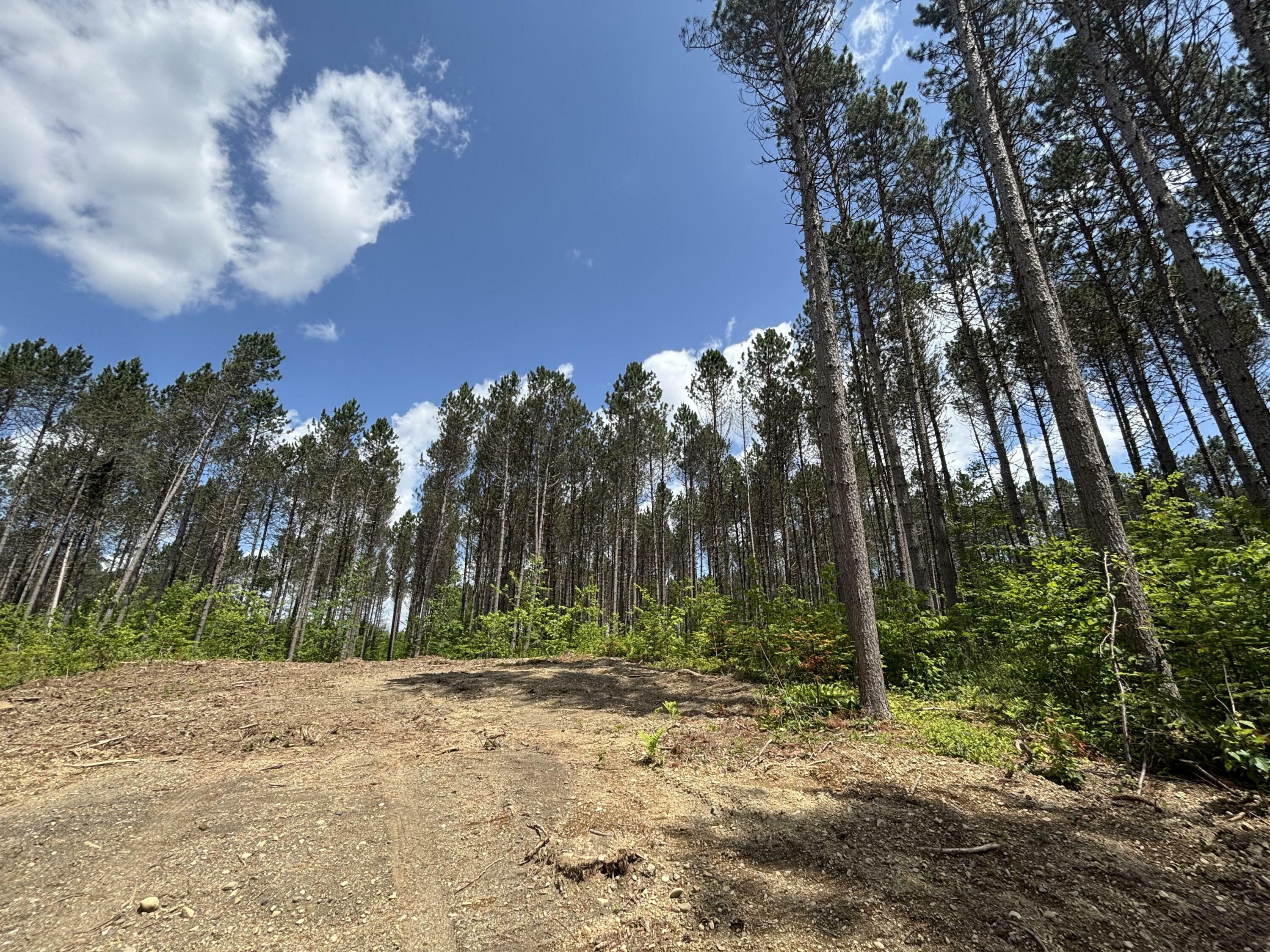 Property Photo: Lot H McDonald Road ME 04730