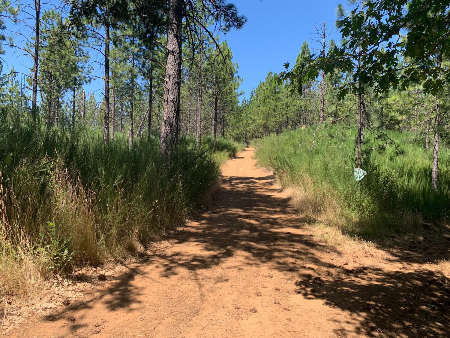 Property Photo:  11880 Lost Ranch Way  CA 95959 