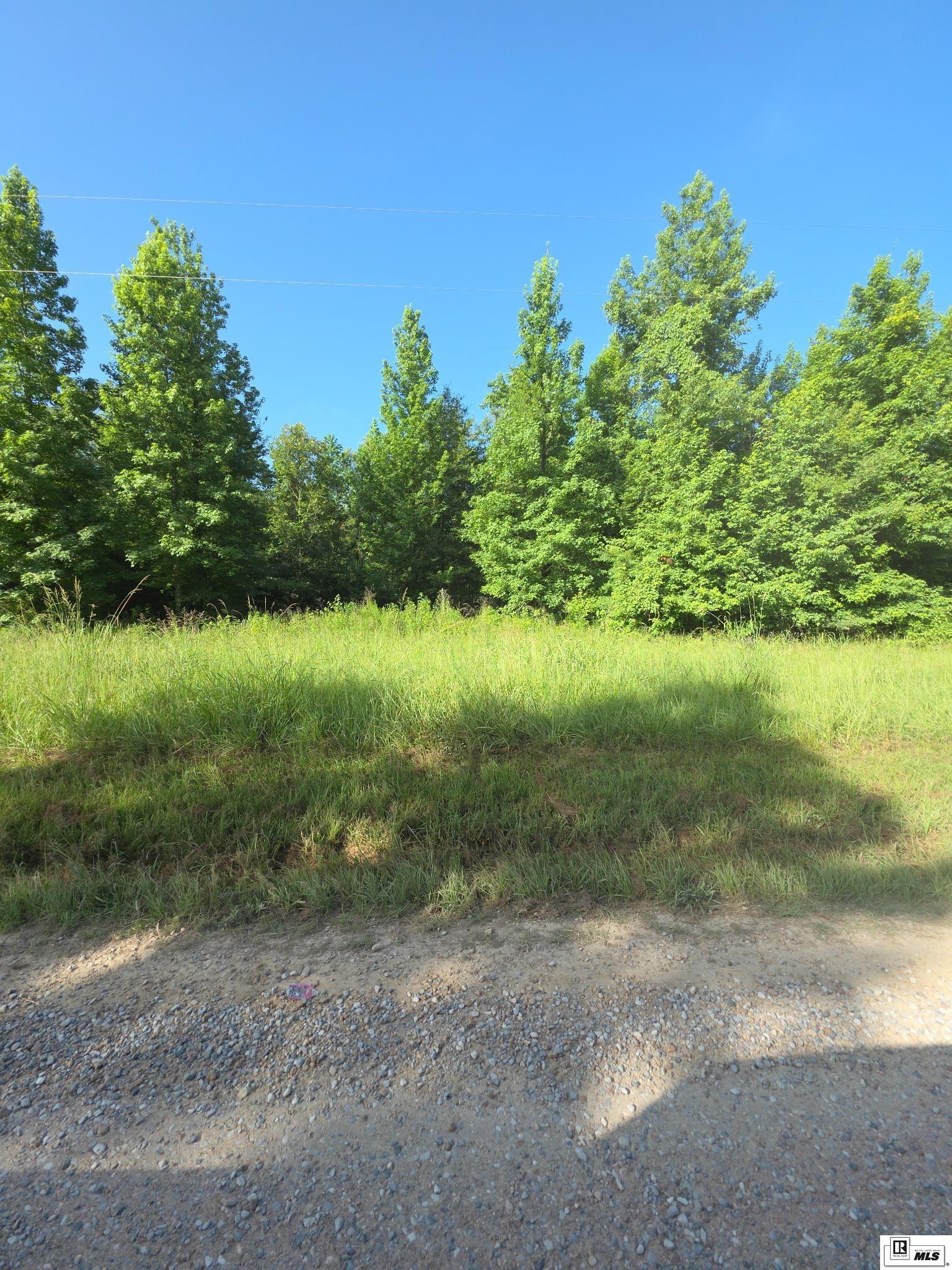 Property Photo: Lot 19 Tarver Road LA 71259