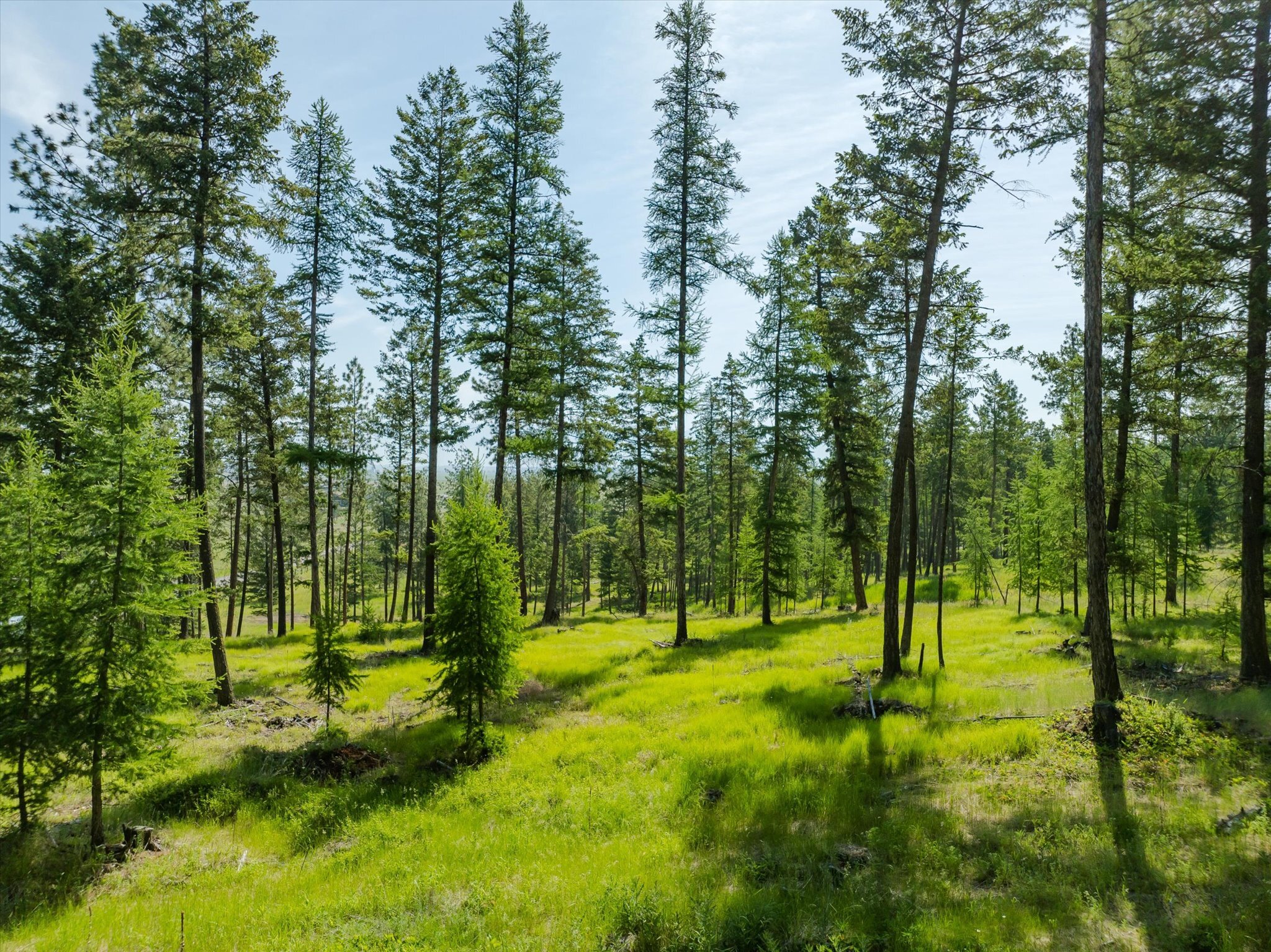 Property Photo: Nhn Northern Larch Trail Lot 63 MT 59901