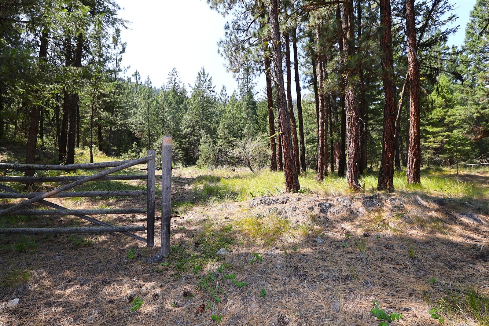 Property Photo: Nhn Heir Loom Way MT 59859