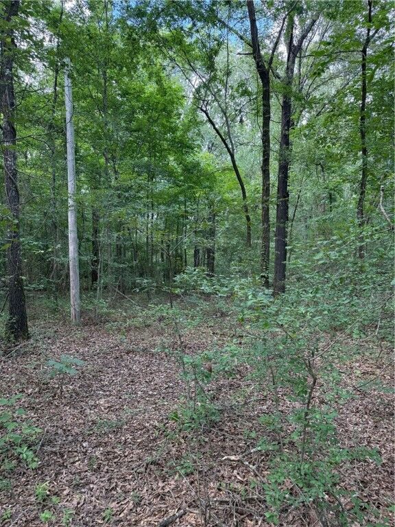 Property Photo: US Hwy 64 AR 72823