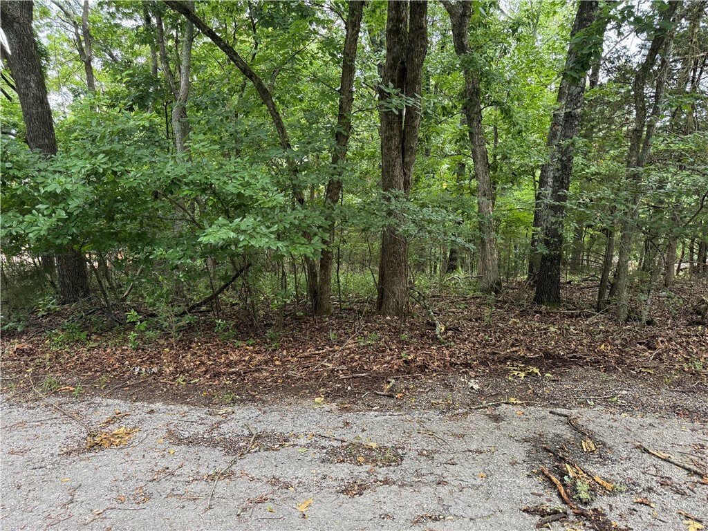 Property Photo: Lot 59 W Airport Drive AR 72732