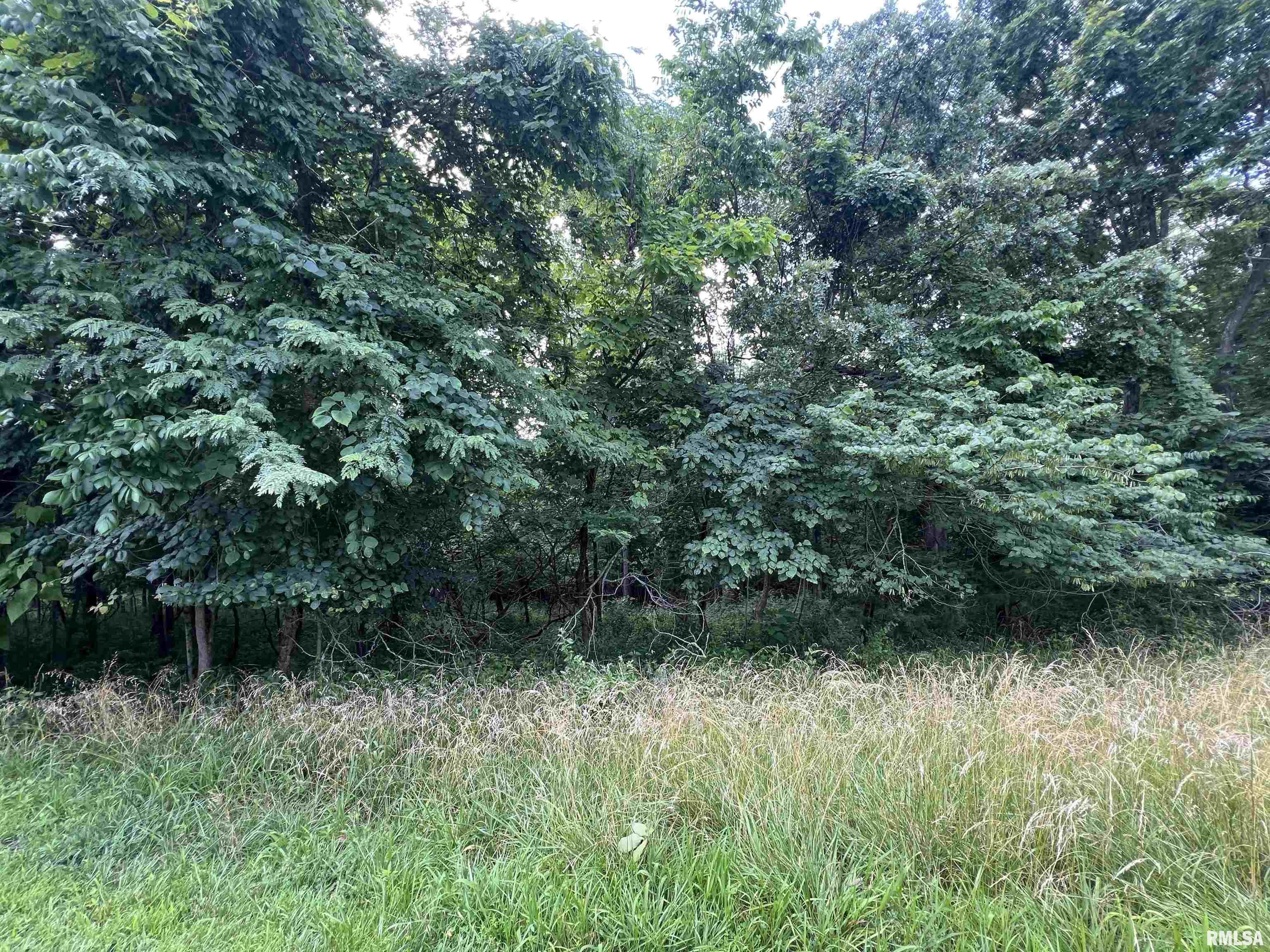 Property Photo: 0000 S Lakeshore Drive IL 62939