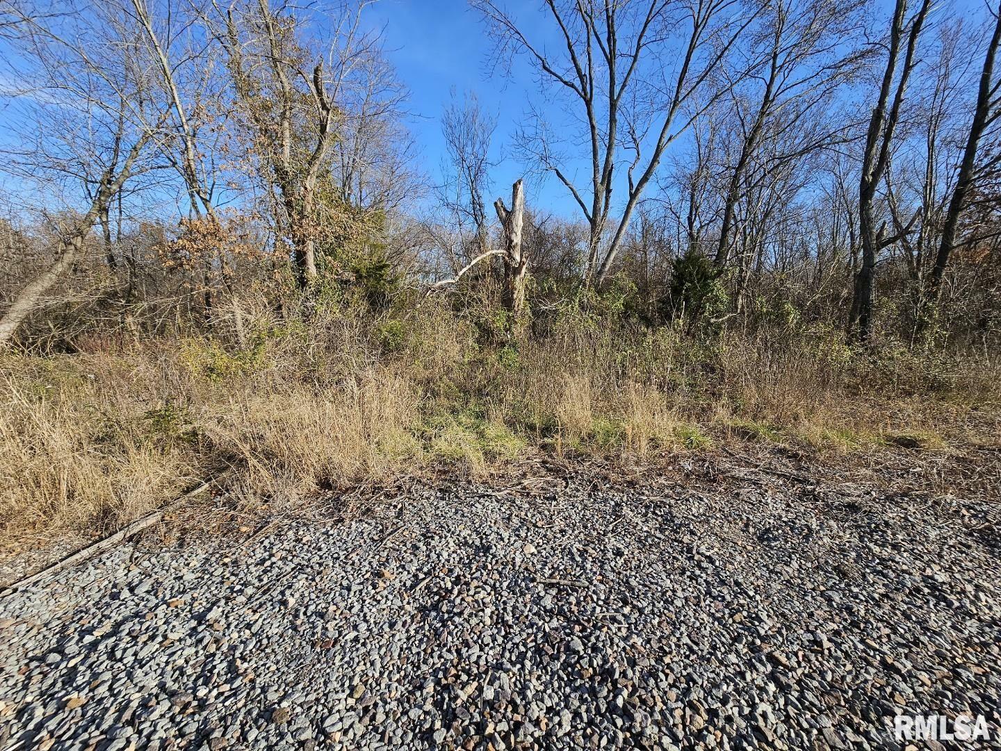 Property Photo: 0000 N Il Hwy 37 Highway IL 62816