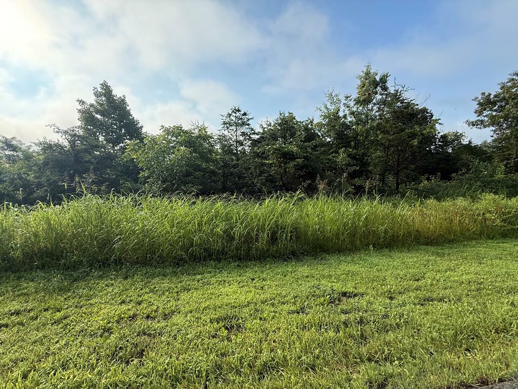 Property Photo: 2093 Cox Road OH 45623