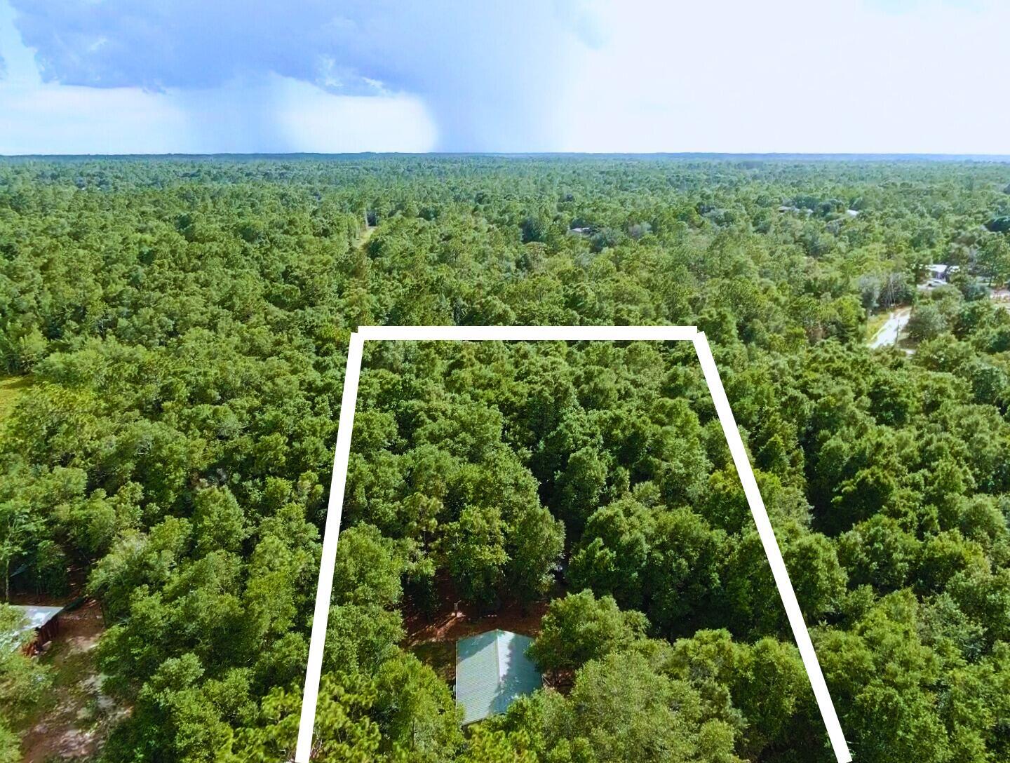Property Photo: 335 Franck Drive FL 32433