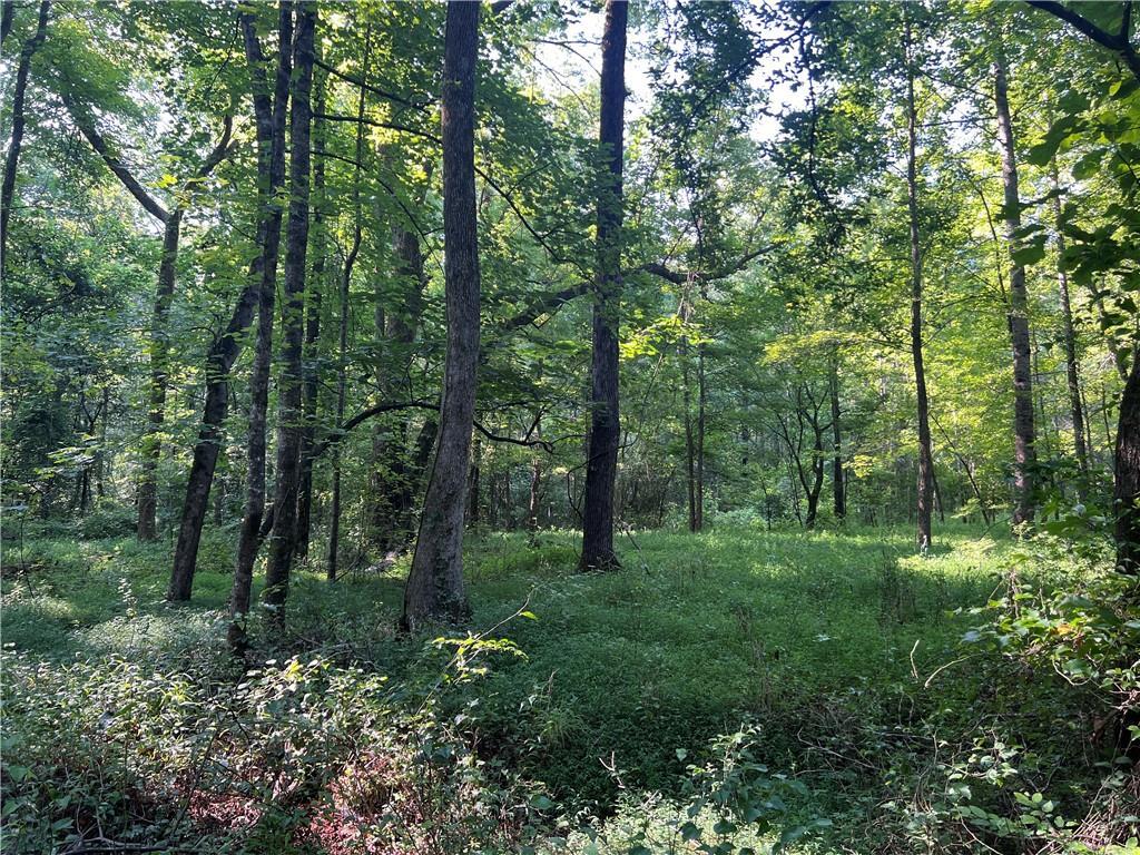 Property Photo: 0 Mac Garner Road GA 30179