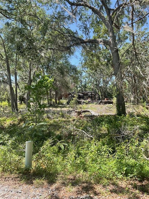 Property Photo: 3180 Triple Lake Road GA 31601