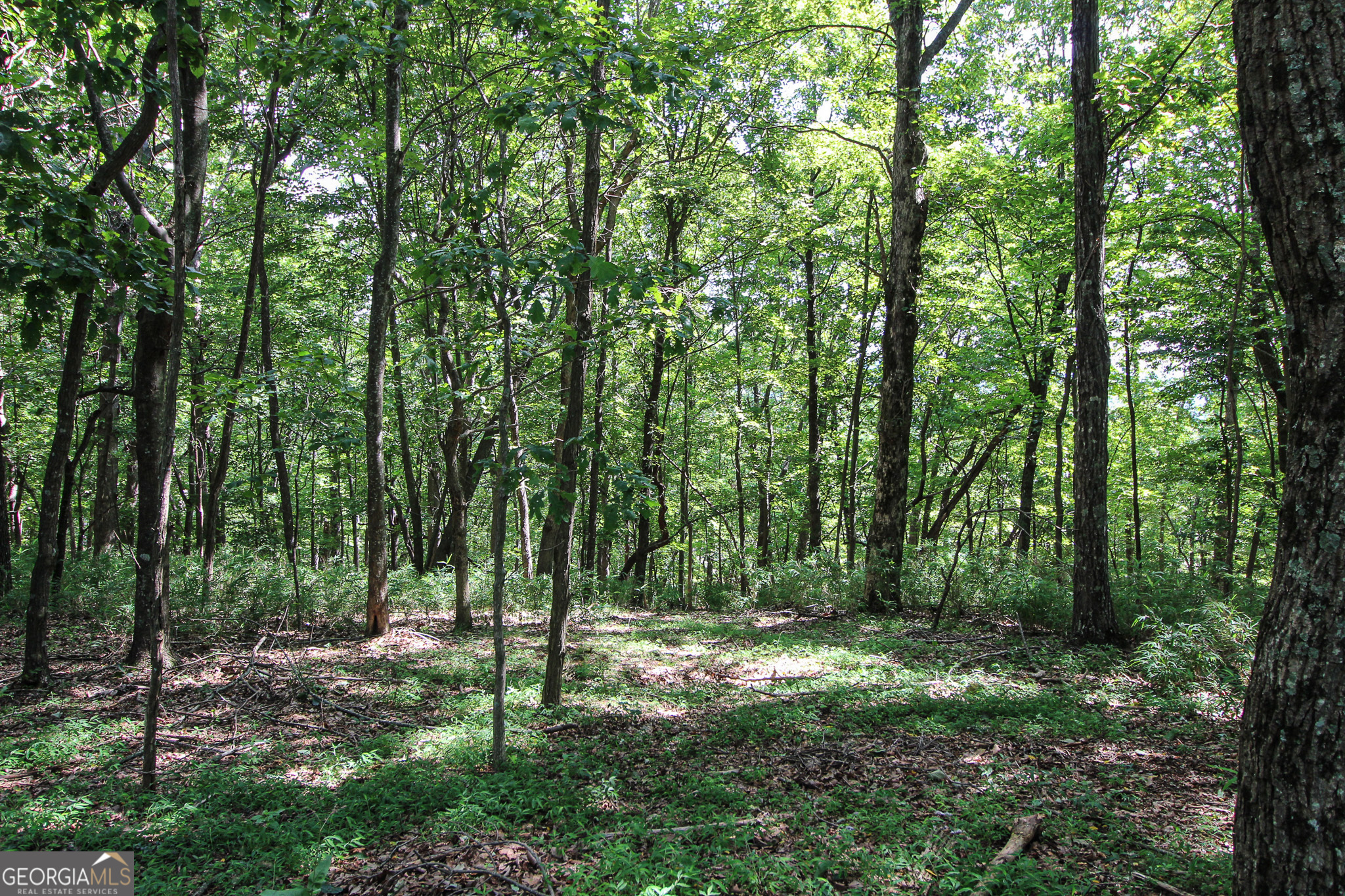 Property Photo: 8088 Ridgeview Drive GA 30143