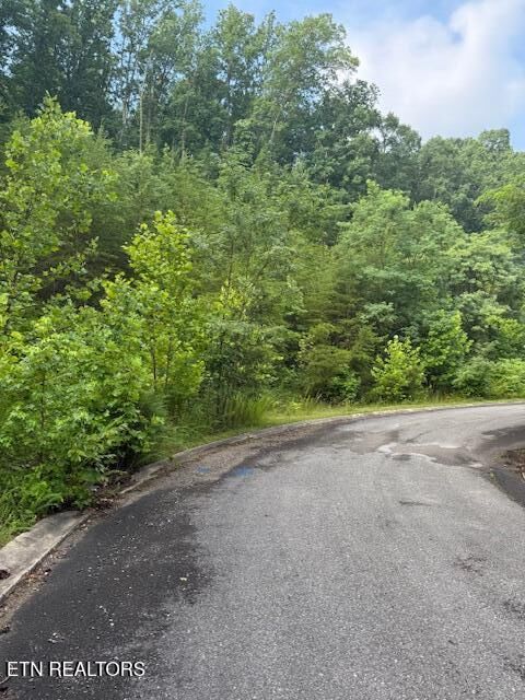 Lot 14 Woodland Creek Drive  Dandridge TN 37725 photo
