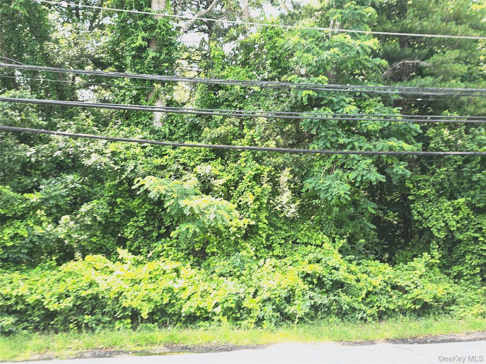 Property Photo:  Vl Yaphank-Middle Island Road  NY 11980 